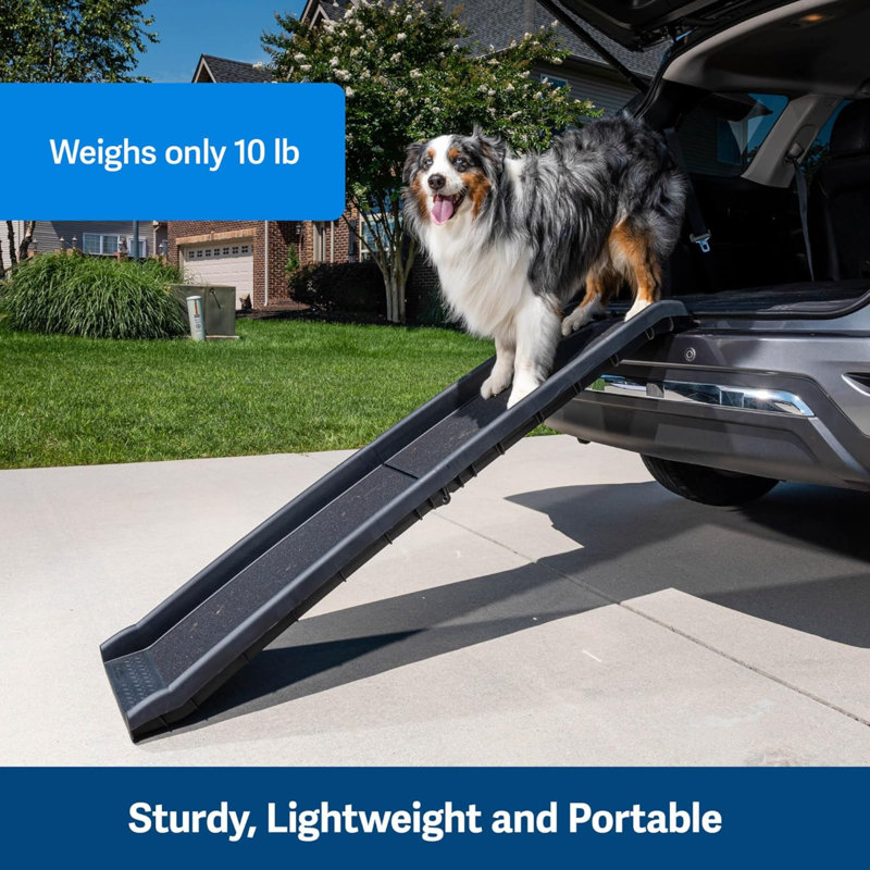 Foldable pet ramp online